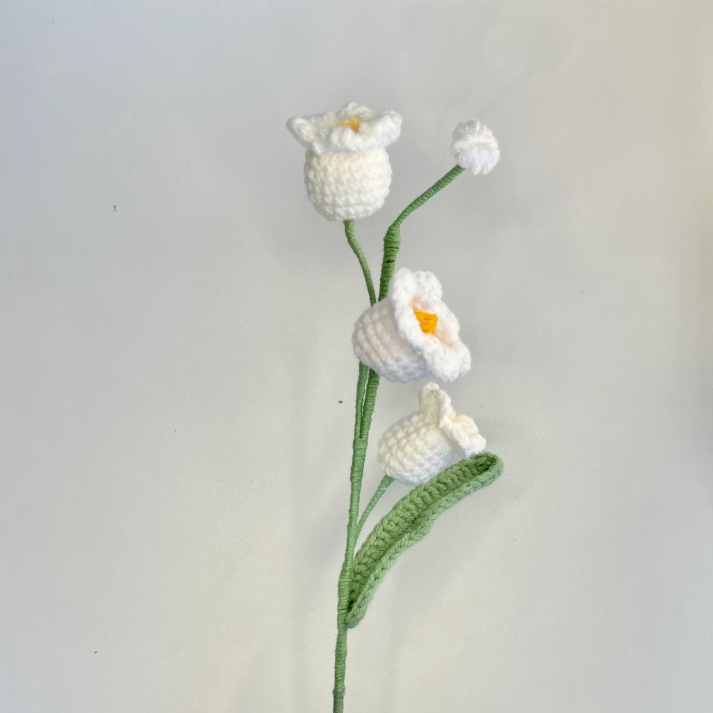 Lily of the valley - 1