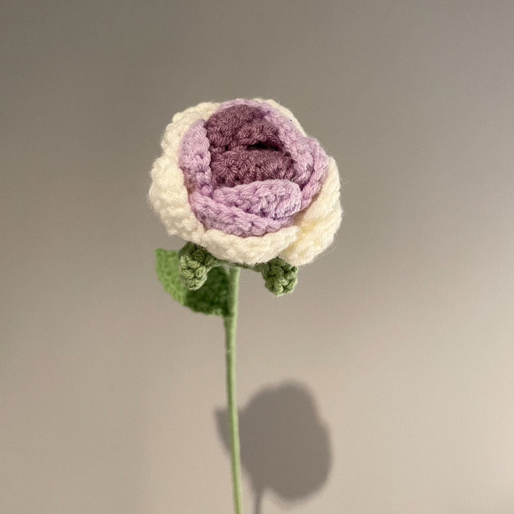 Gradient Rose - 1