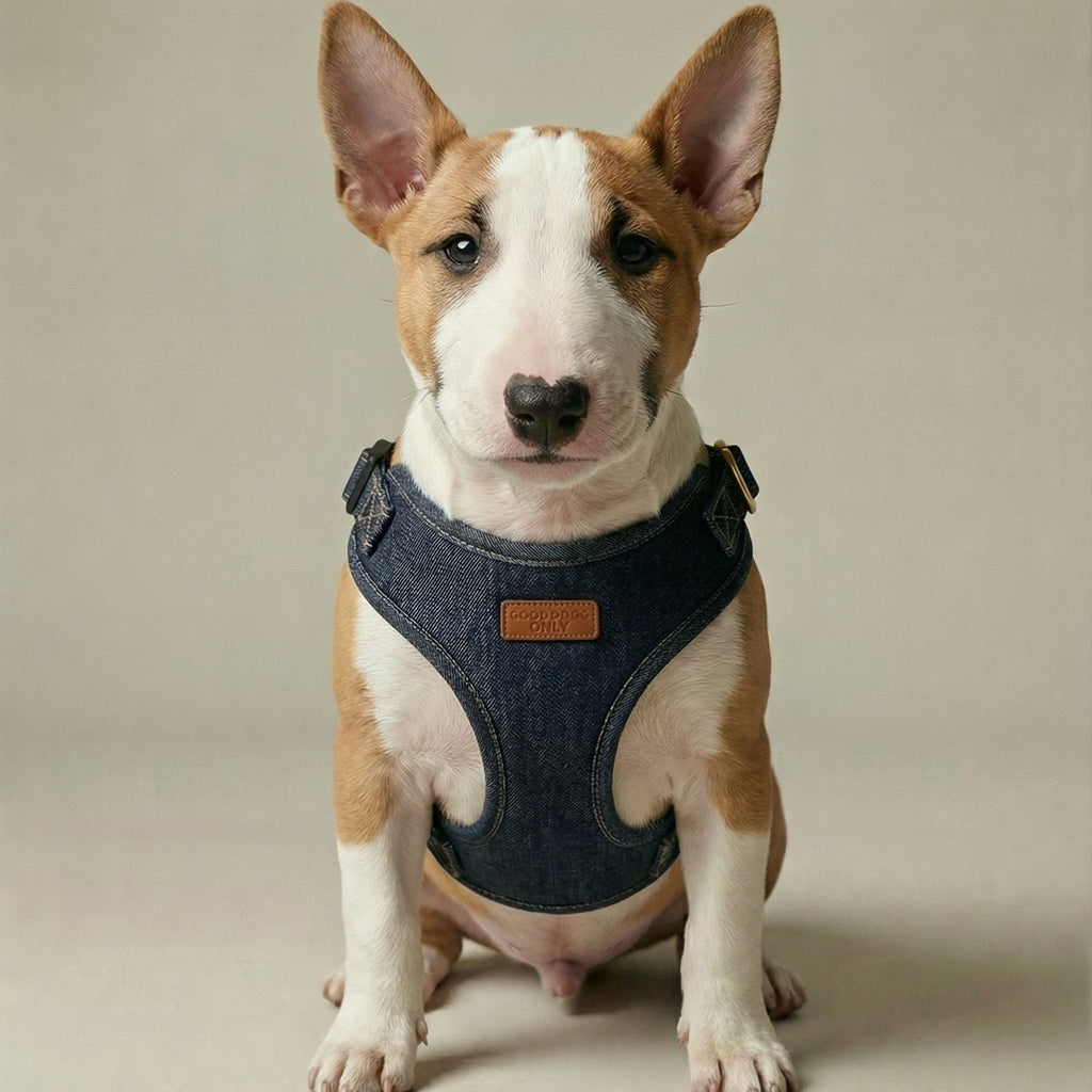 64fa7464983fea3f4f05e5c2_nightjar-image-put-on-a-bull-terrier-puppy_1772218036461.jpg